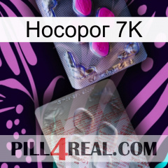 Носорог 7K 38